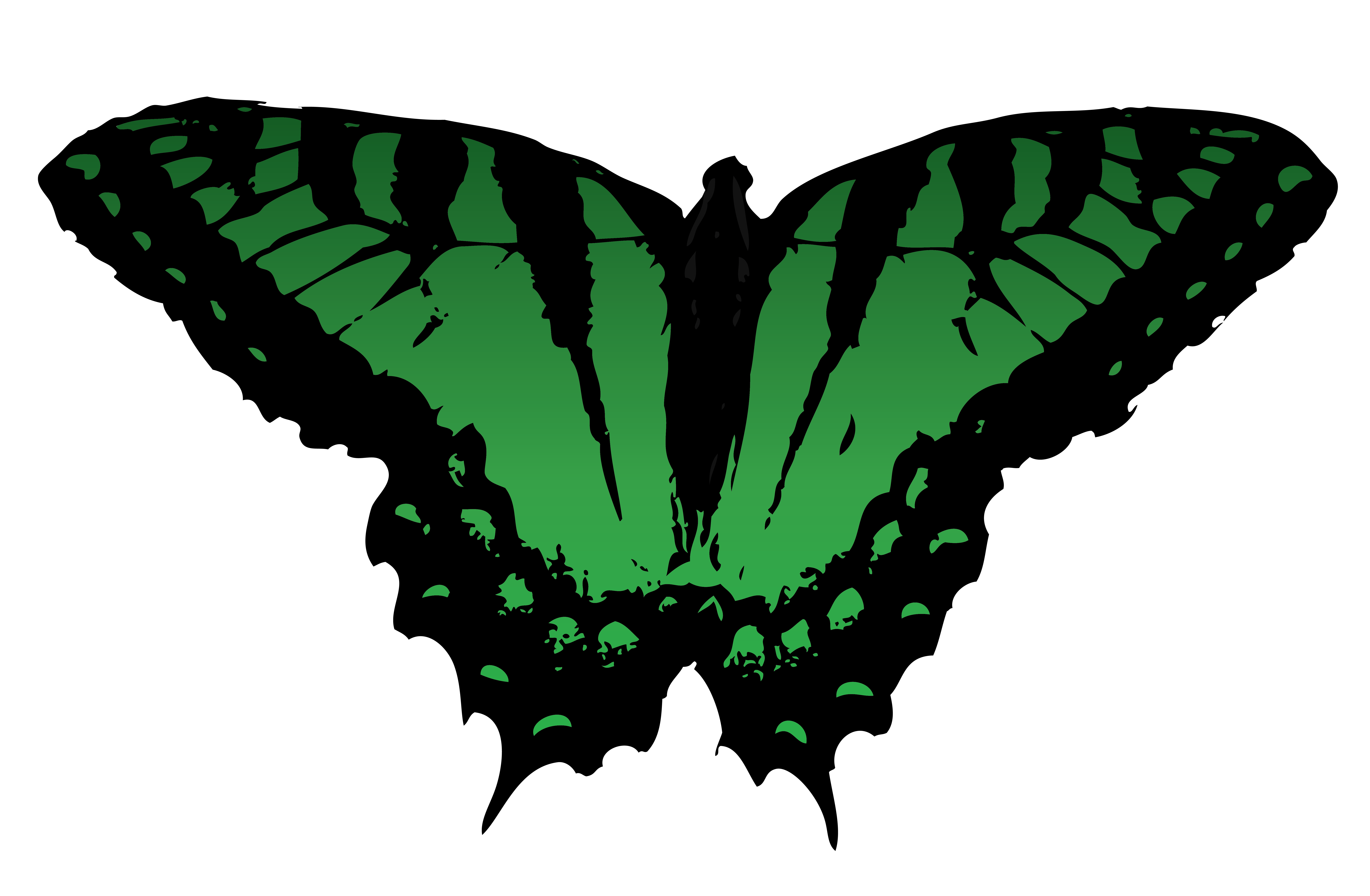 Butterfly Vector free for use by romansiii on deviantART