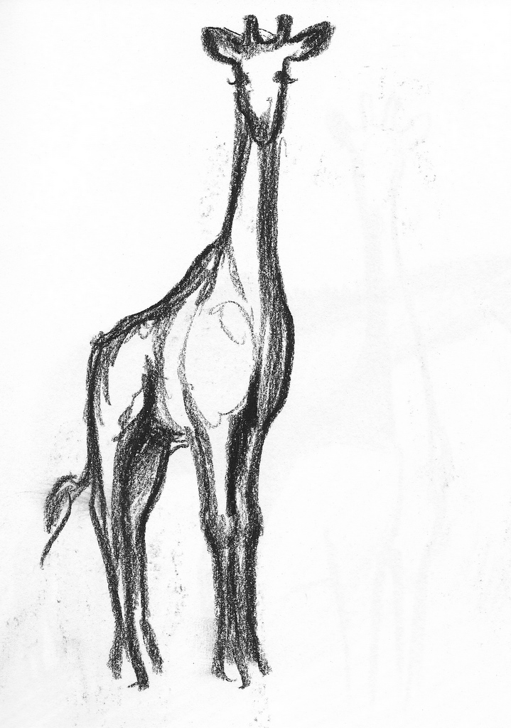 Giraffe Line Drawing