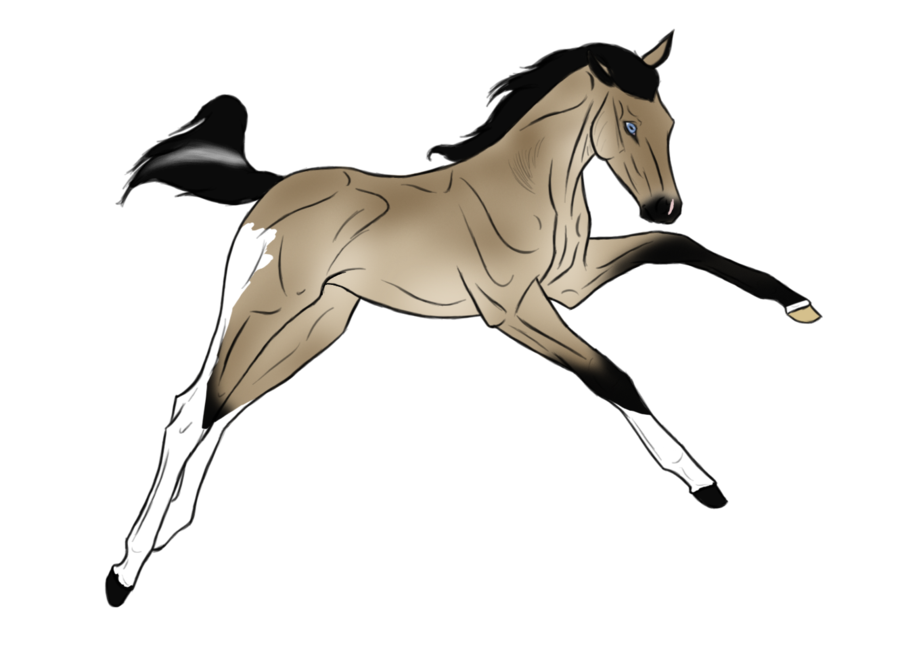 clip art reining horse - photo #18