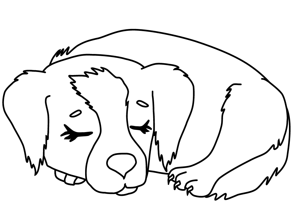 face of a puppy Colouring Pages (page 3)