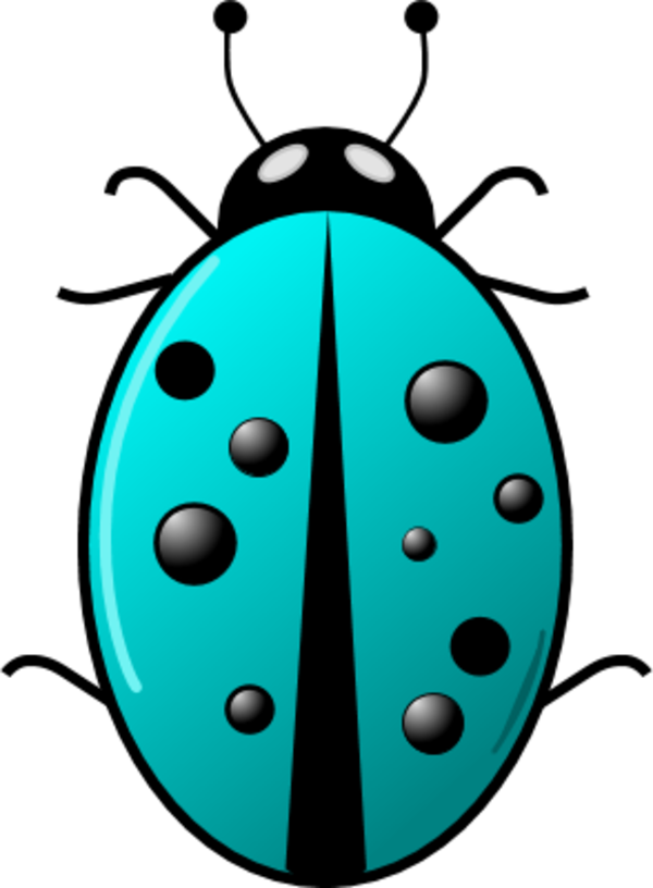 Ladybug insect - vector Clip Art