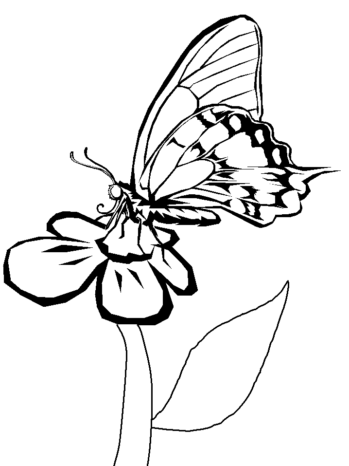 Butterflies flower Coloring Page | HelloColoring.com | Coloring Pages
