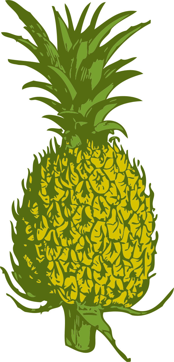 Pineapple Fruit - vector Clip Art