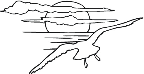 coloring images of sunsets | Seagulls coloring pages | Super ...