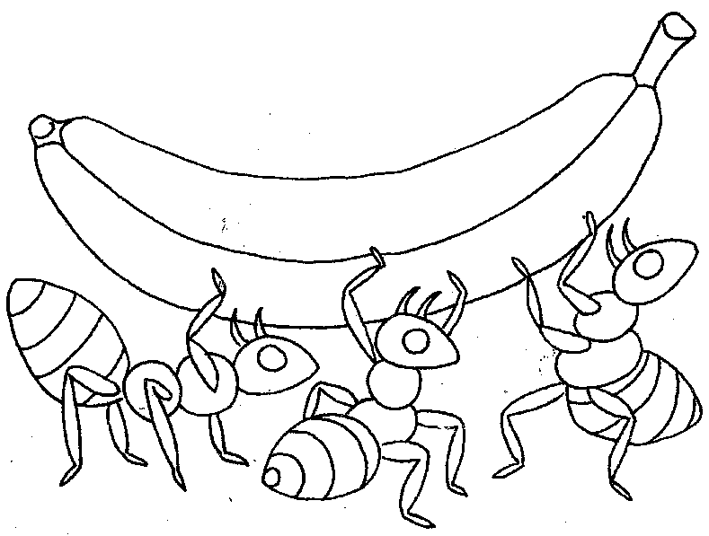 Ant Insect Coloring Pages, Free Printable Ant Coloring Pages For ...
