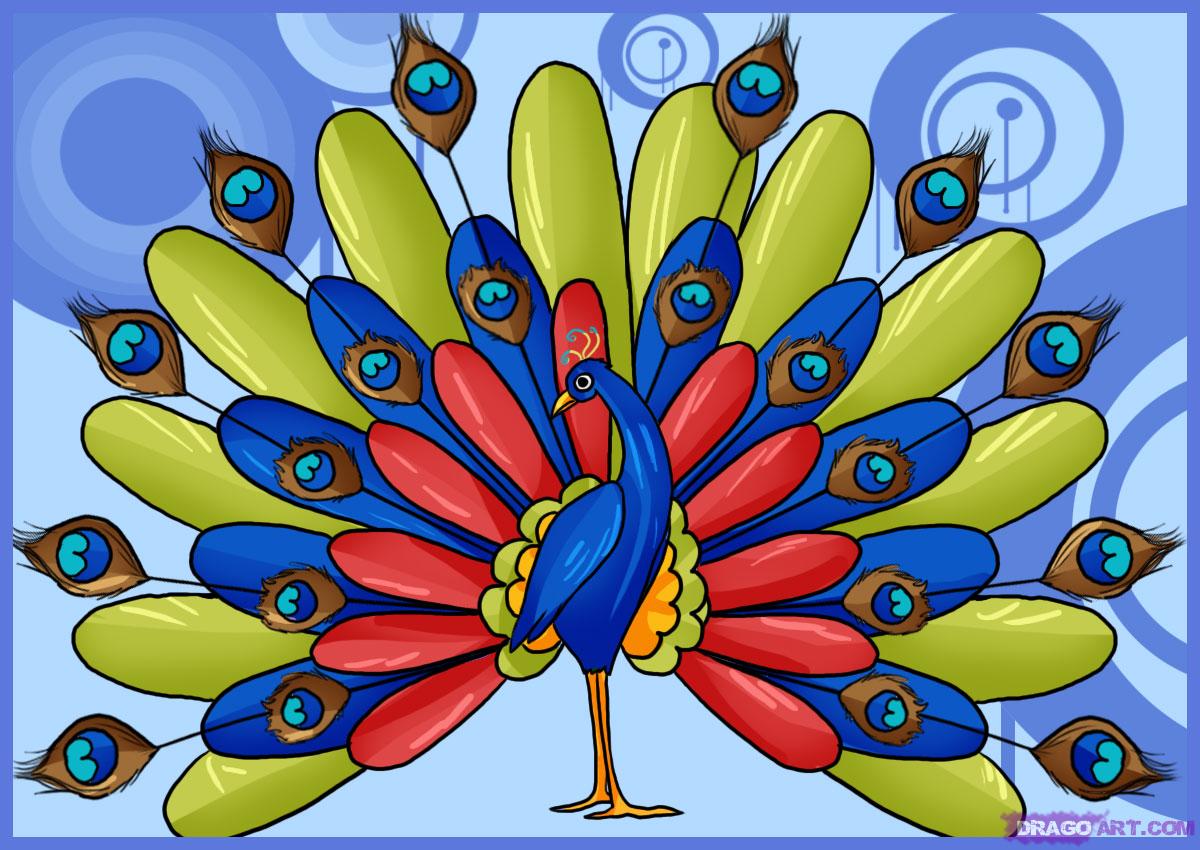 Simple Colorful Peacock Drawing Clipartsco