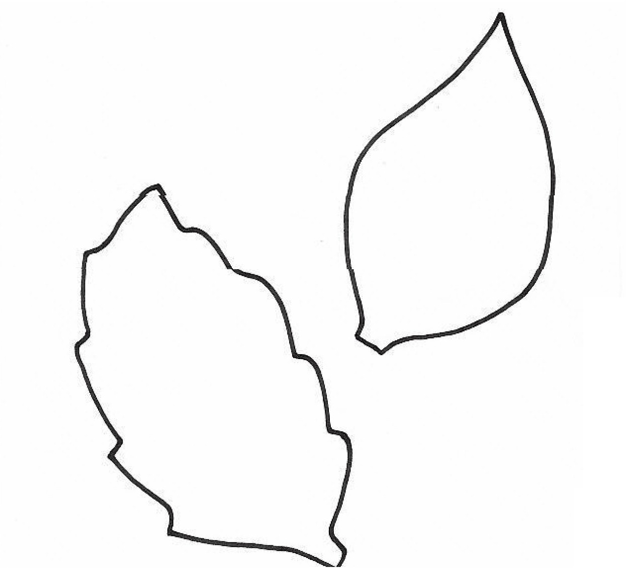 Leaf Template - ClipArt Best