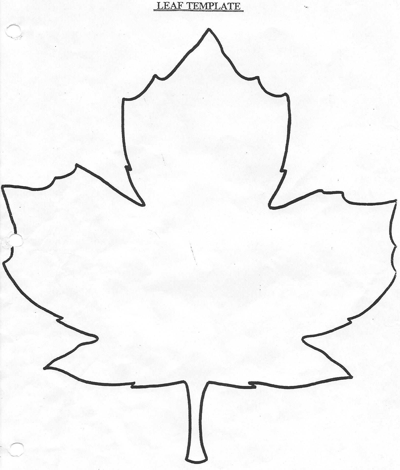 Leaf Template Cliparts co