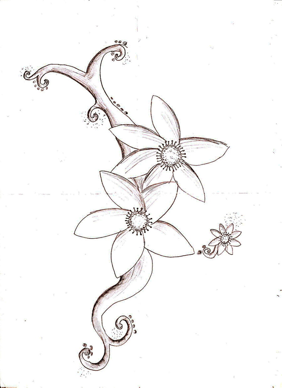 Simple Flower Sketch Cliparts co