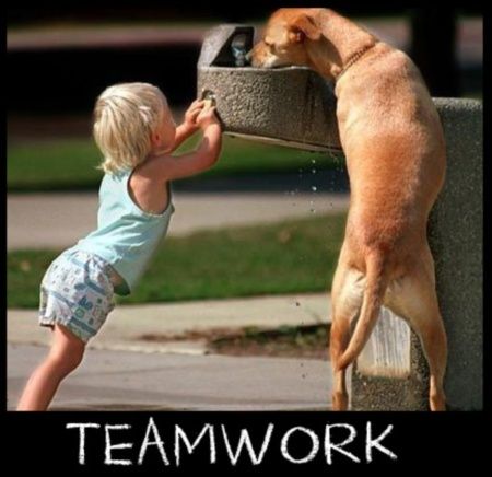 Clip art on Pinterest | Teamwork, Common Core Standards and ...