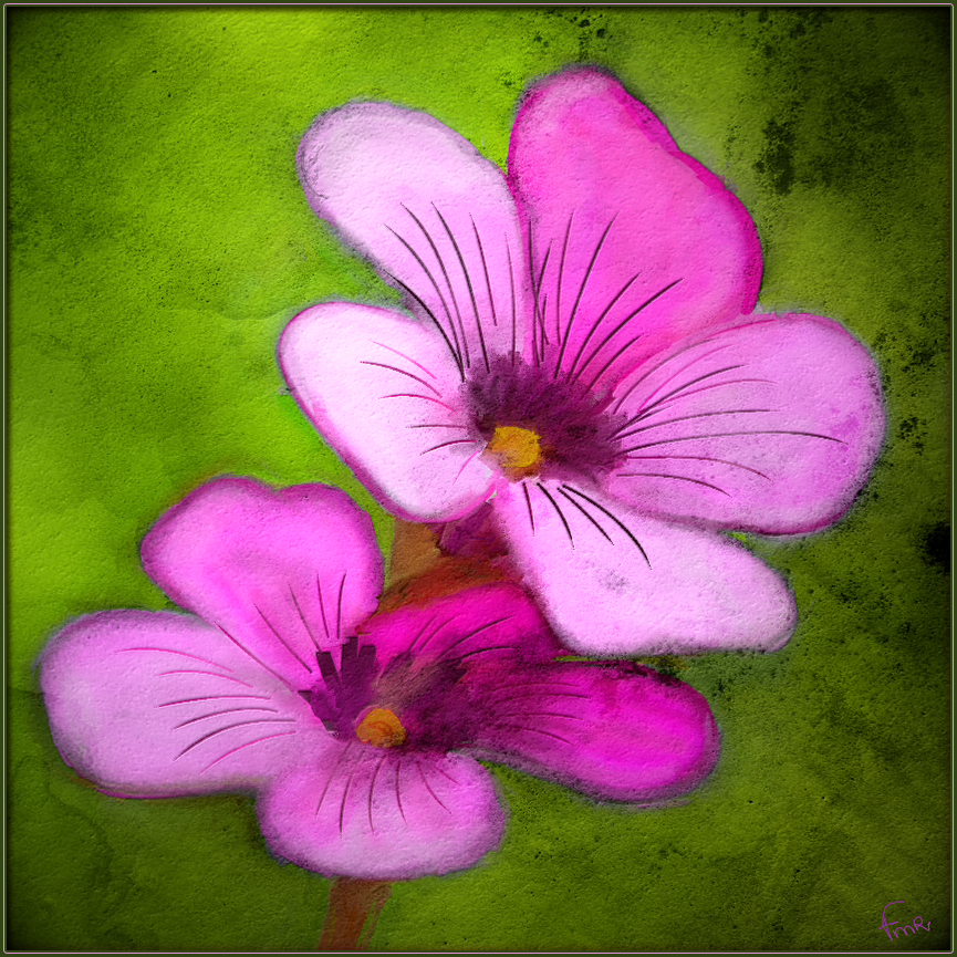 Simple Flowers by fmr0 on DeviantArt