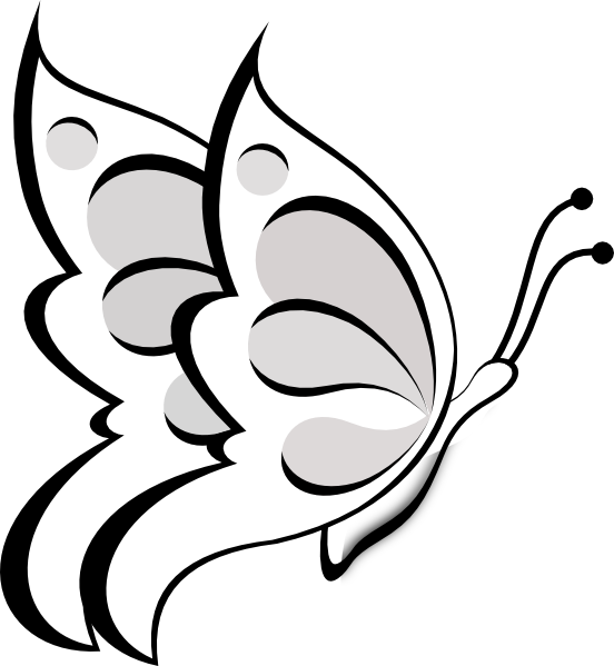 Butterfly Outline Pictures - ClipArt Best
