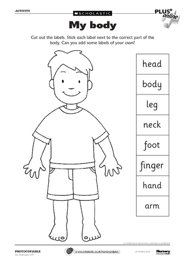 My body – FREE Early Years teaching resource - Scholastic