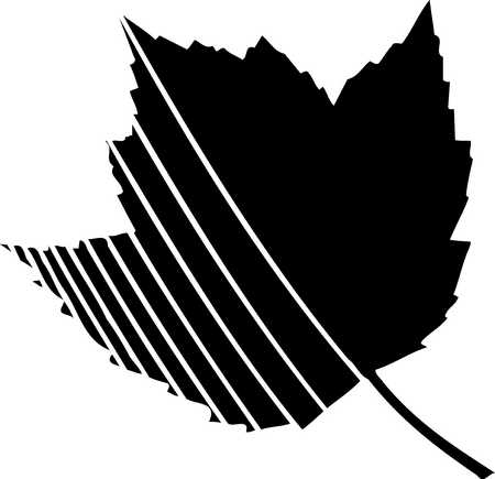 Stock Illustration - maple leaf with stripes on left side, black ...
