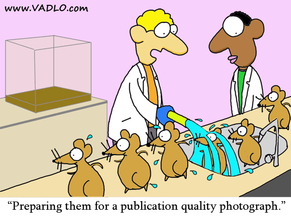 Taking Publication Quality Photographs of Mice - Life Science ...