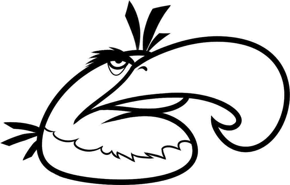 Cartoon Angry Bird Colouring Sheets Printable Free For Kids & Boys #