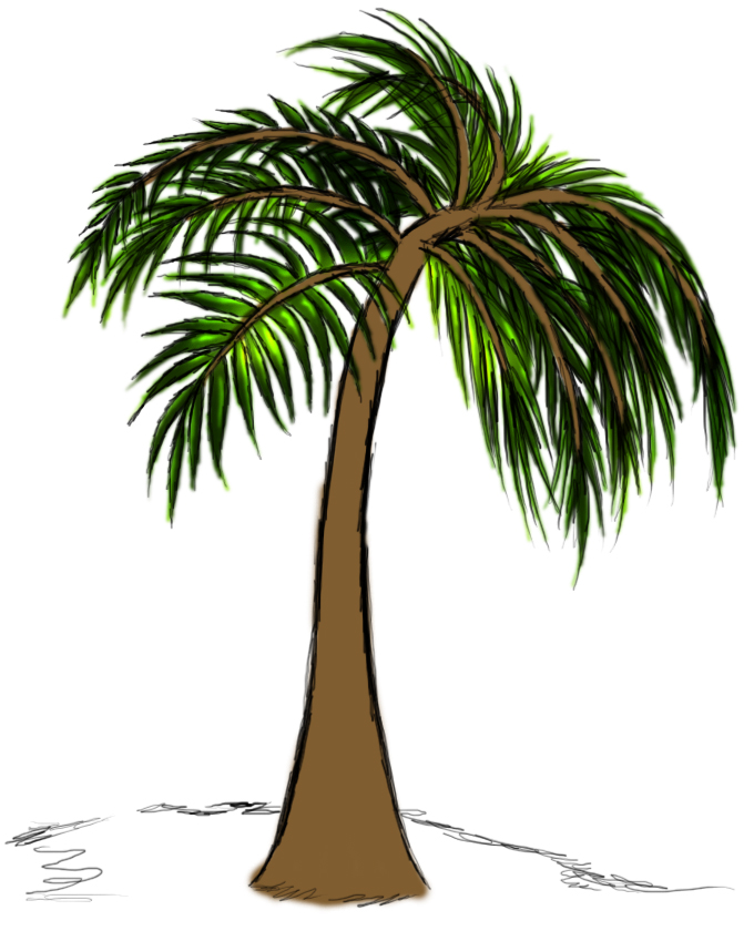 Photoshop Drawing How to make a lush palm tree Tutorial