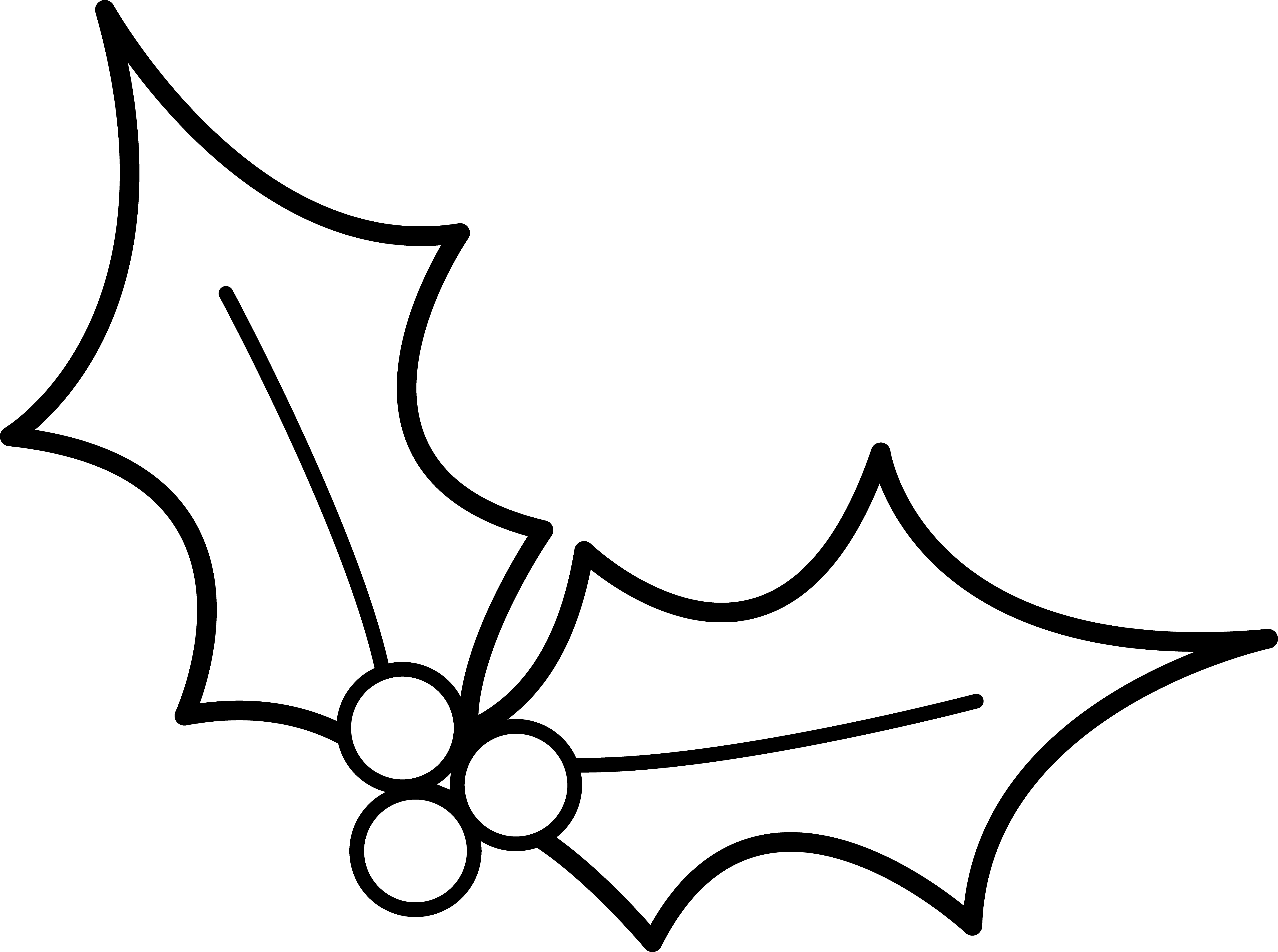 Holly Leaf Images Cliparts co