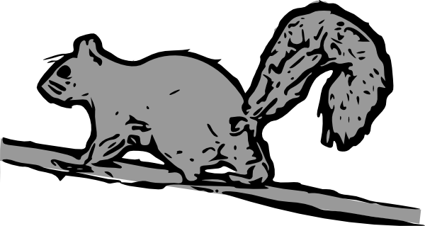 Squirrel clip art - vector clip art online, royalty free & public ...
