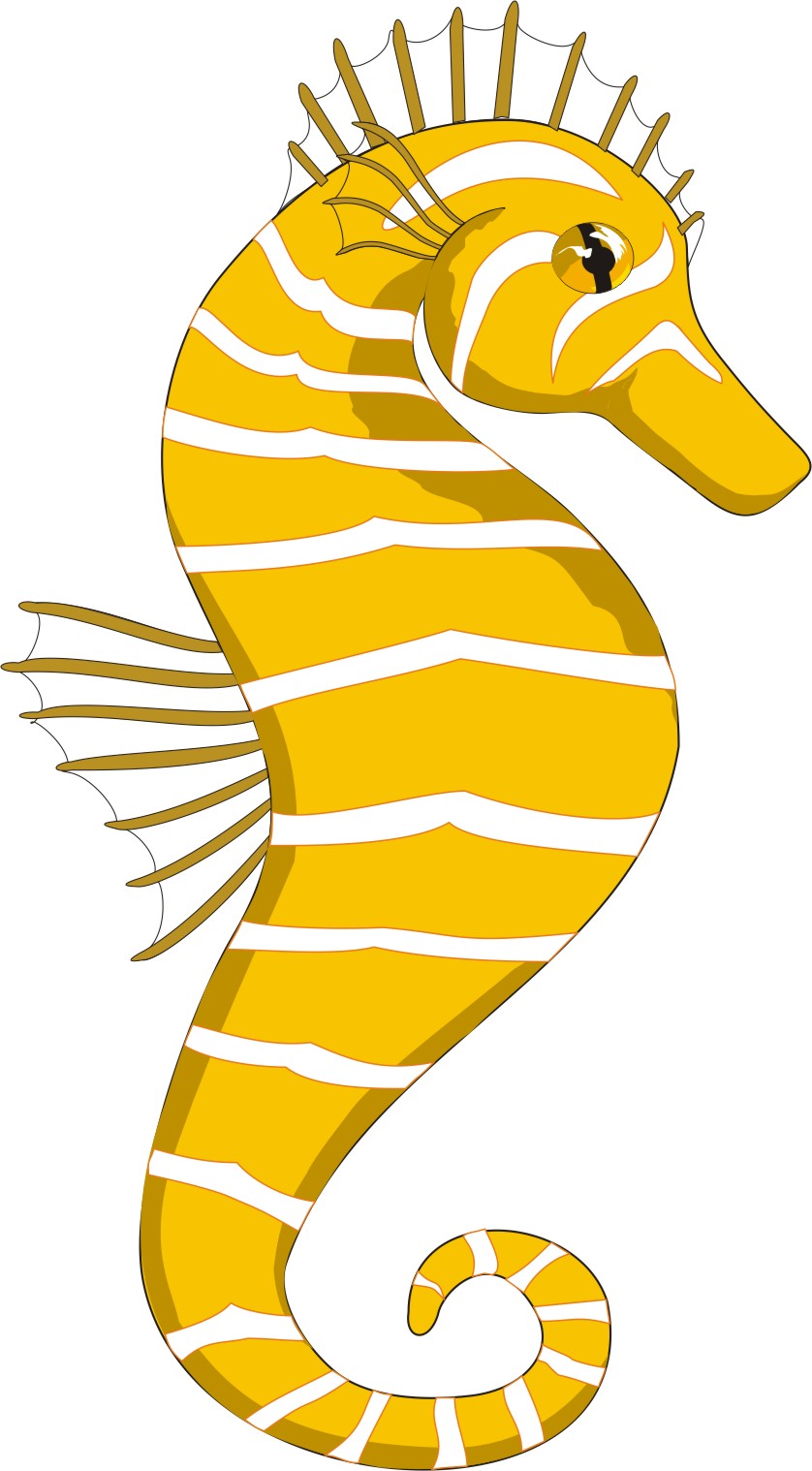 Seahorse Clip Art For Preschoolers | Clipart Panda - Free Clipart ...