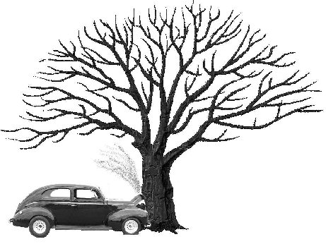Car Crash: Cartoon Car Crash Into Tree