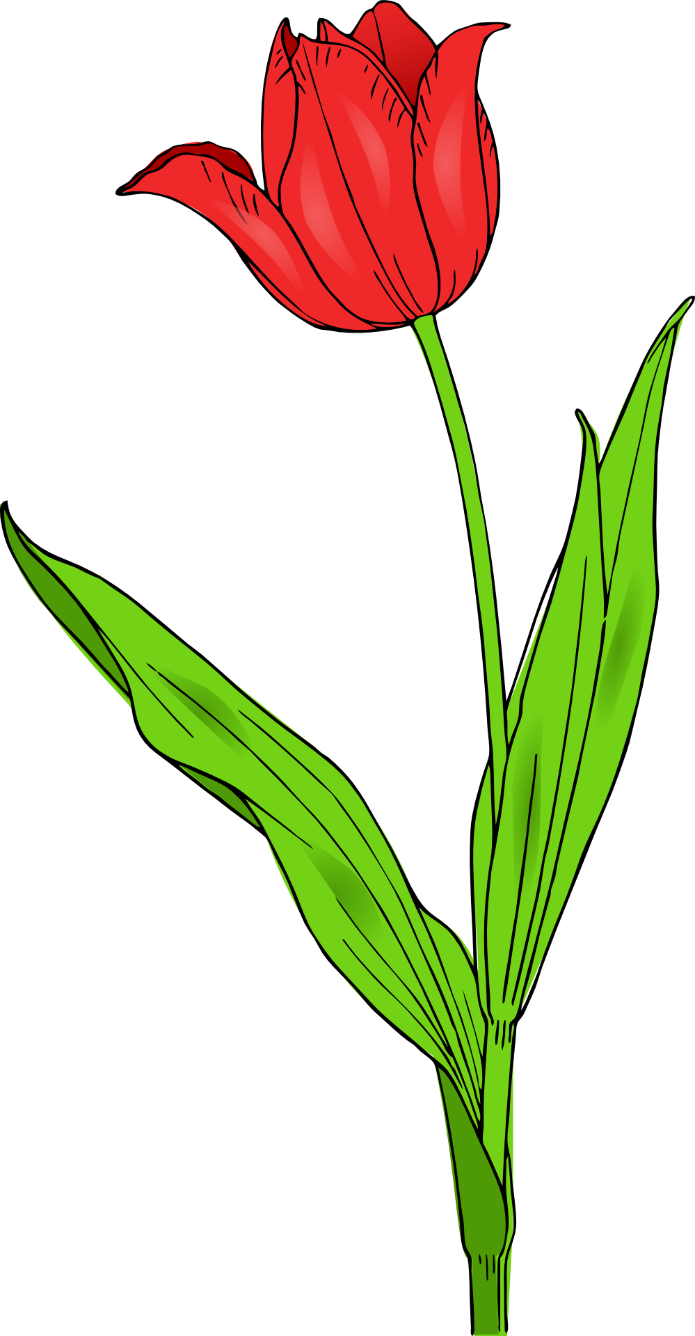 Flowers For > Single Spring Flower Clip Art