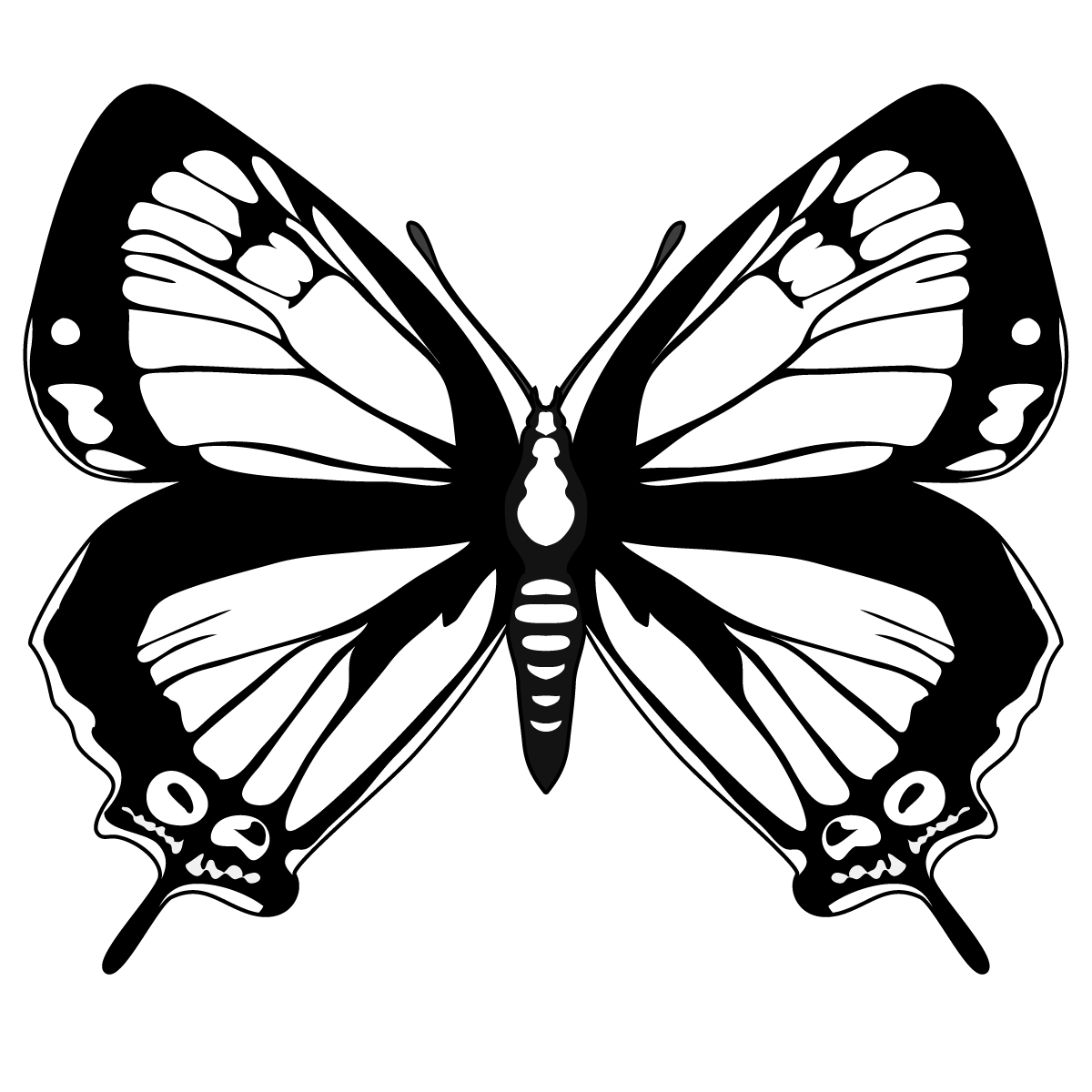 Black White Butterfly Images - ClipArt Best