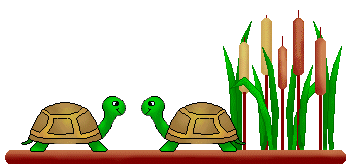 Turtle Clip Art - Turtle and Cattail Dividers