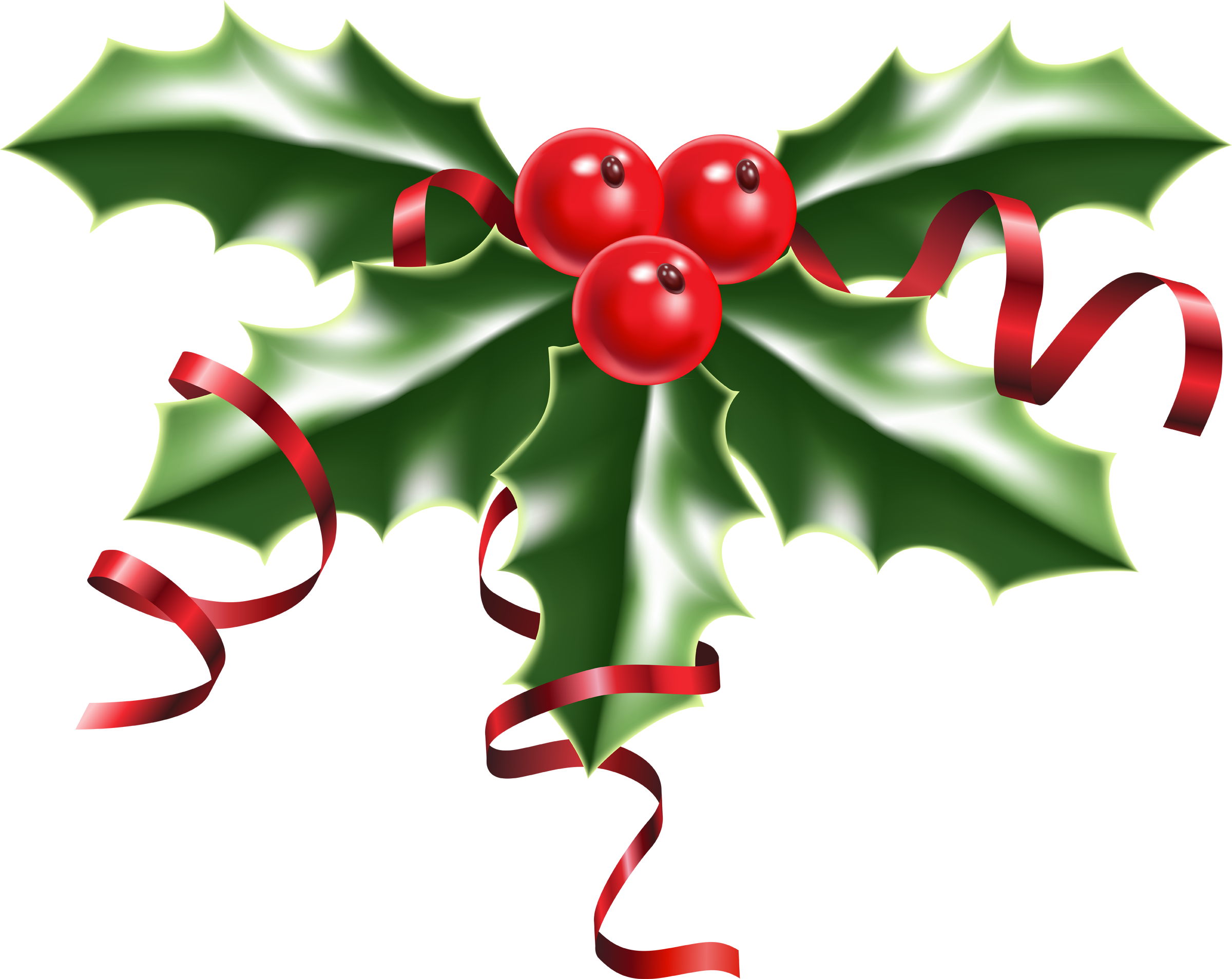 Christmas Holly Picture Cliparts co