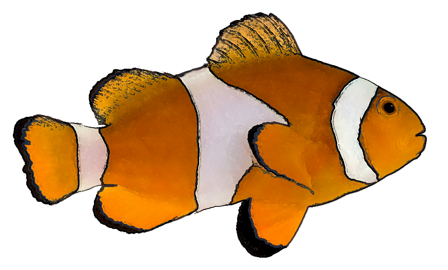 Free Tropical Fish Clip Art - ClipArt Best - ClipArt Best