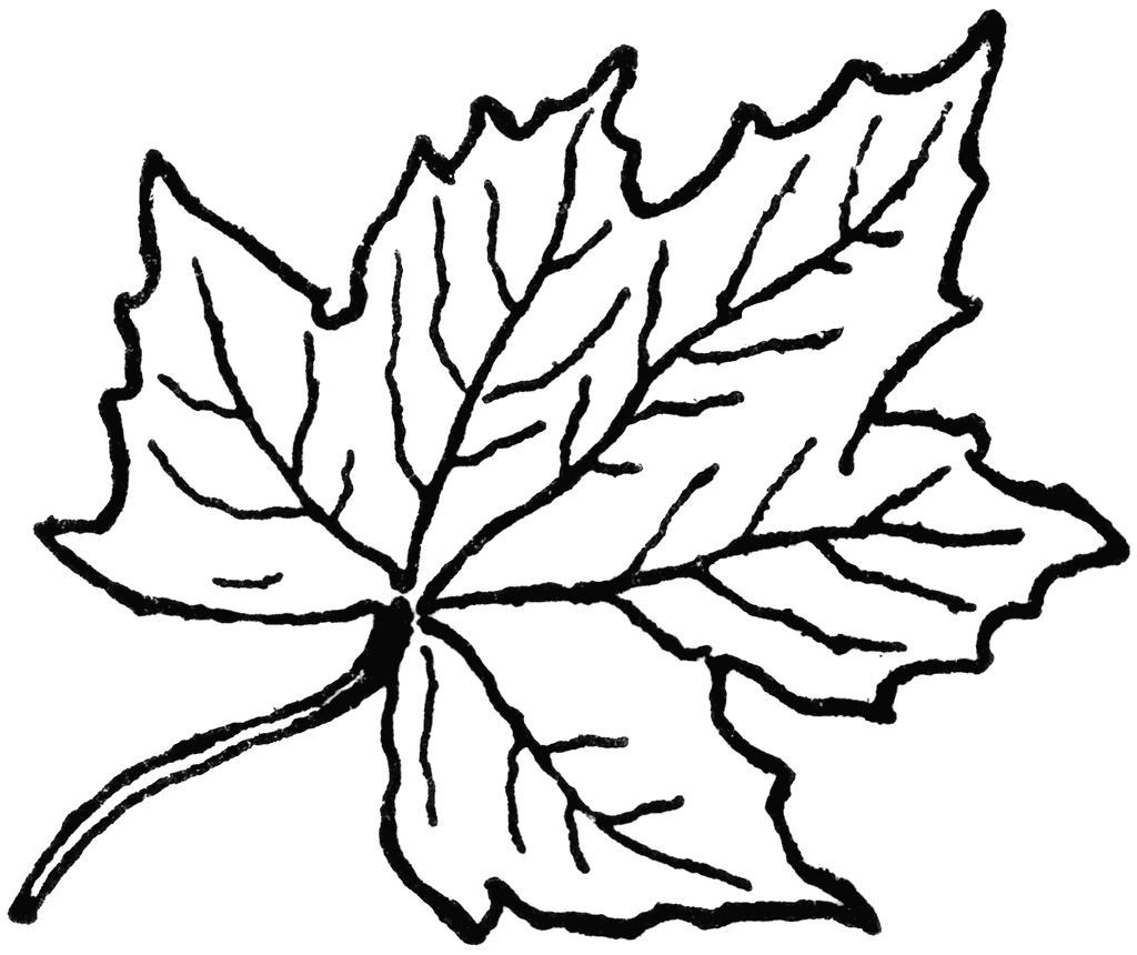 free black and white clip art leaves - photo #1
