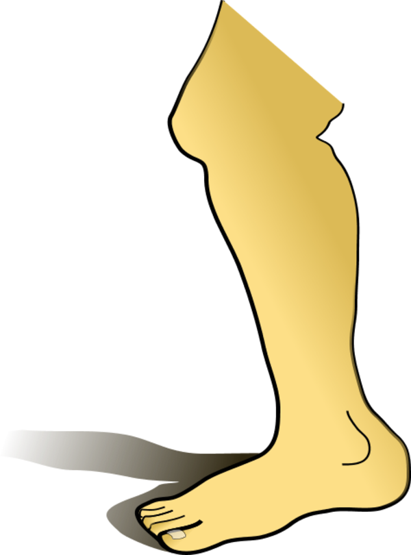 human leg - vector Clip Art