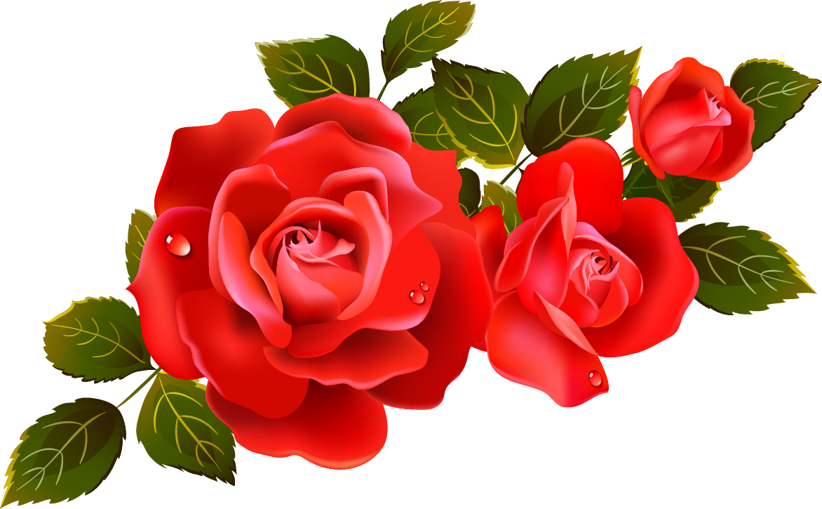 Rose Png - ClipArt Best