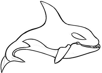 Killer Whale Coloring page | SuperColoring.com