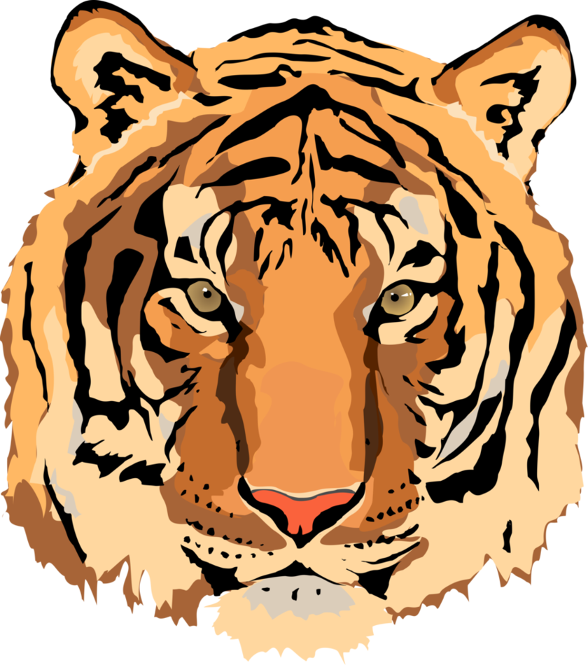 free vector tiger clipart - photo #5