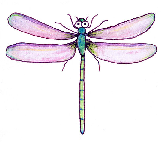 Inn Trending » Dragonfly Drawing