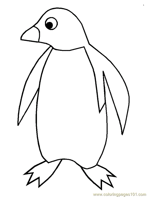 Penguins Colouring Pages