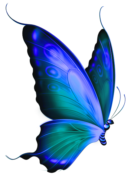 Free Clip Art Borders Butterfly Blue - ClipArt Best