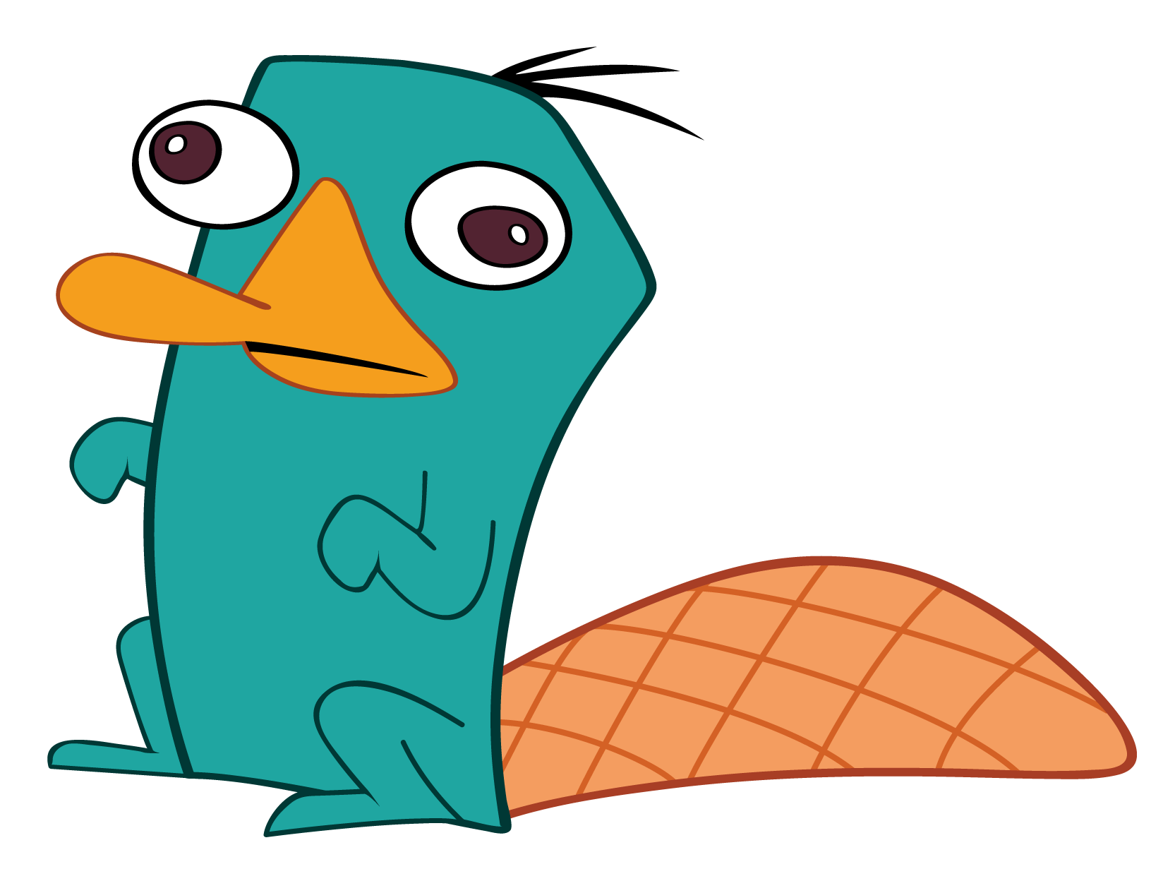 Perry the Platypus | mkalty