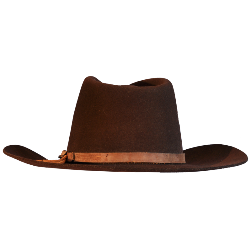 Brown Stetson and Leather Trim Cowboy Hat | Races Hats, Wedding ...