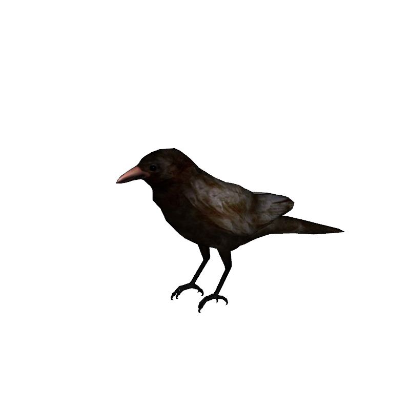 Crow Flying Animation Images & Pictures - Becuo