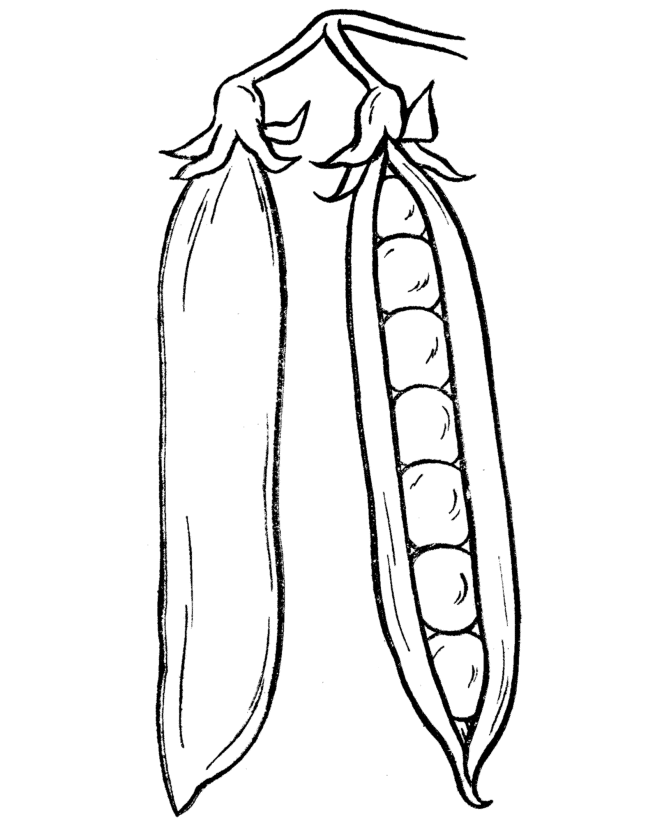 Thanksgiving Dinner Coloring Page Sheets - Peas in a pod coloring ...