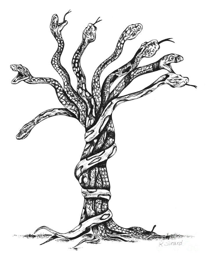 Snake Tree by Karen Sirard - Snake Tree Drawing - Snake Tree Fine ...
