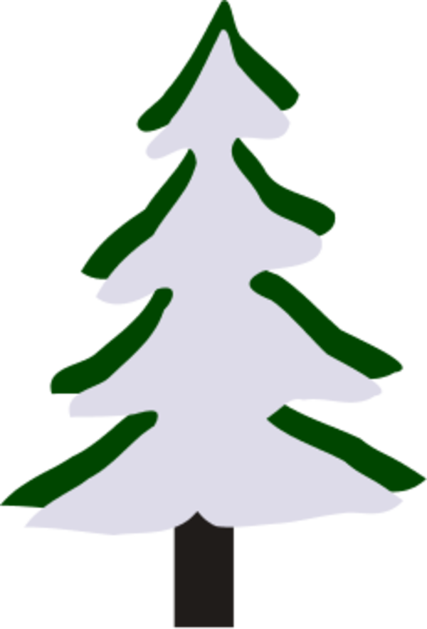 Pine Tree in Winter - vector Clip Art
