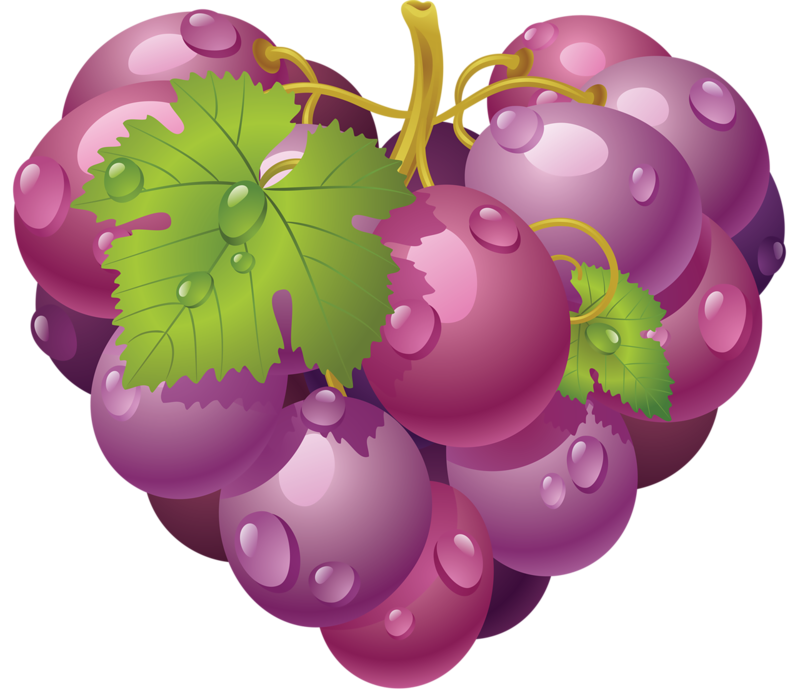 Download PNG image: Grape PNG image download, free picture