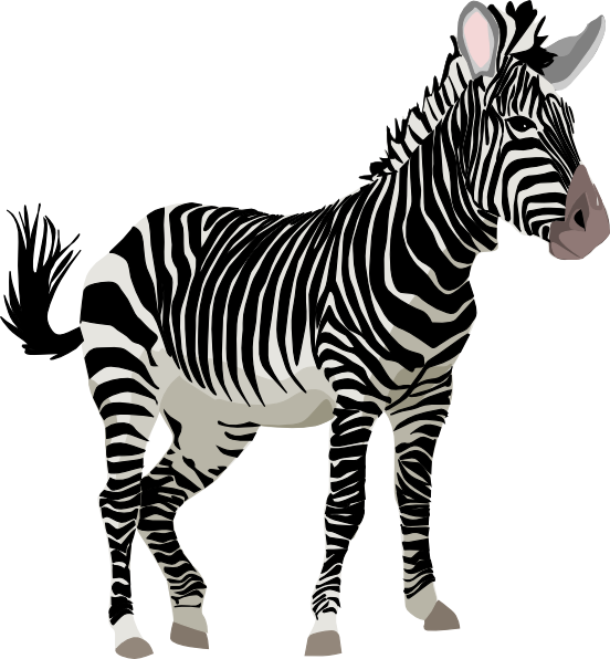 Zebra 3 clip art - vector clip art online, royalty free & public ...