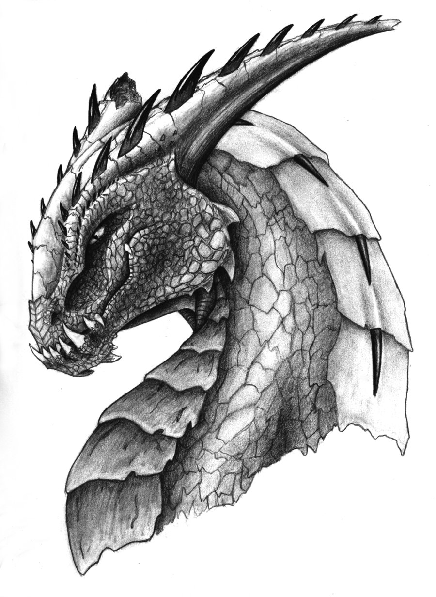 Dragon Drawings Cliparts.co