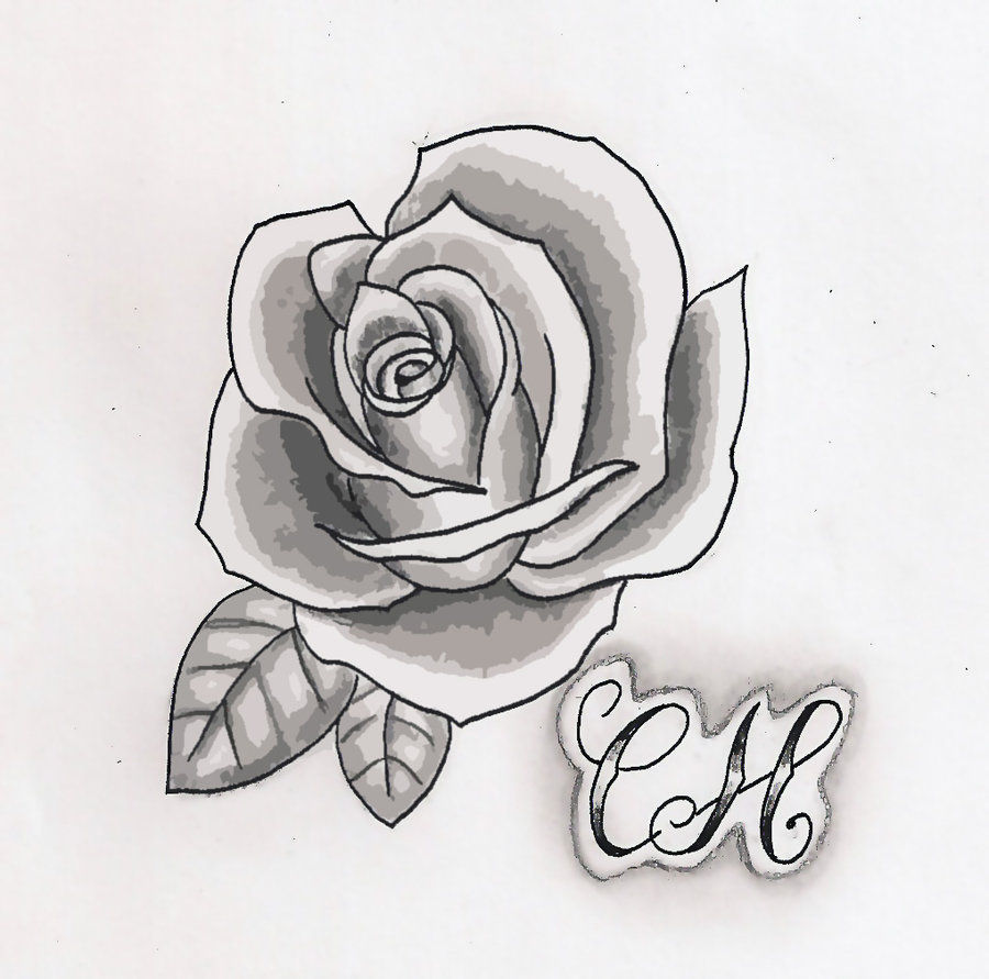 Rose black and white by Hausofch on DeviantArt