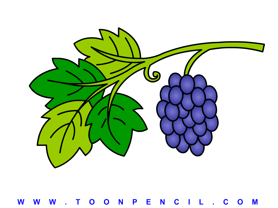 17-Learn How to draw a Grapes for kids, step by step, kids Grapes ...