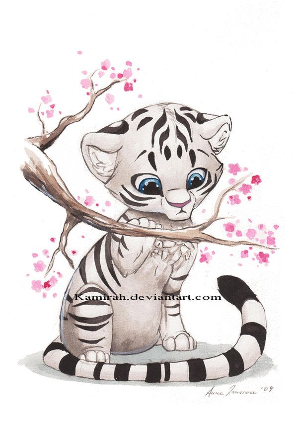 White Tiger | How to draw | Pinterest
